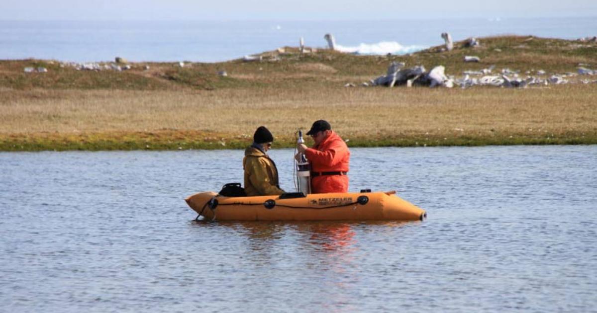 Sampling crew collecting a sediment core at PaJs-13, a Thule-Inuit site on Somerset Island, Nunavut, with the remnants of whalebone houses visible in the background.	Source: Jules Blais/University of Ottawa