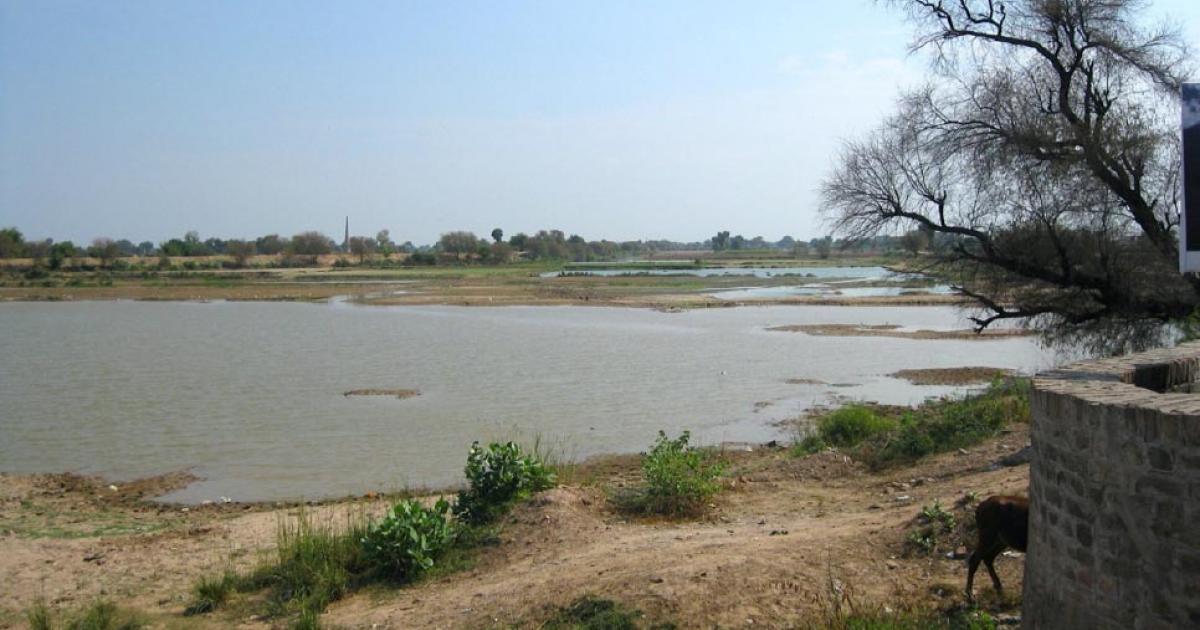 Bed of Ghaggar River near Hanumangarh. Researchers claim this is the ancient Saraswati River. Source: Bharat Jhunjhunwala / CC BY-SA 2.0.
