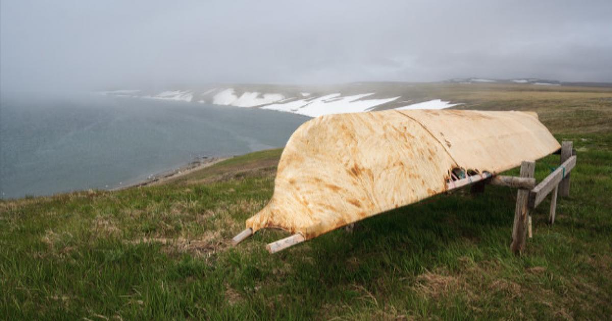 A Baidara, a traditional leather skin boat of the Chukchi and Eskimos