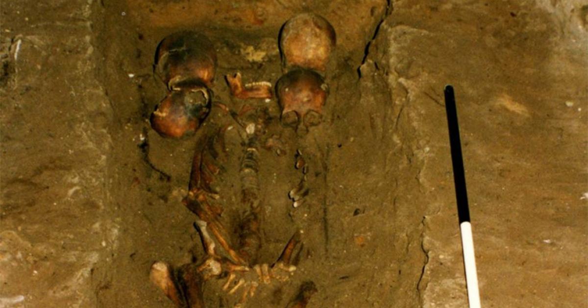 The six-headed chief was discovered within a medieval Scottish burial. Source: FAS Heritage