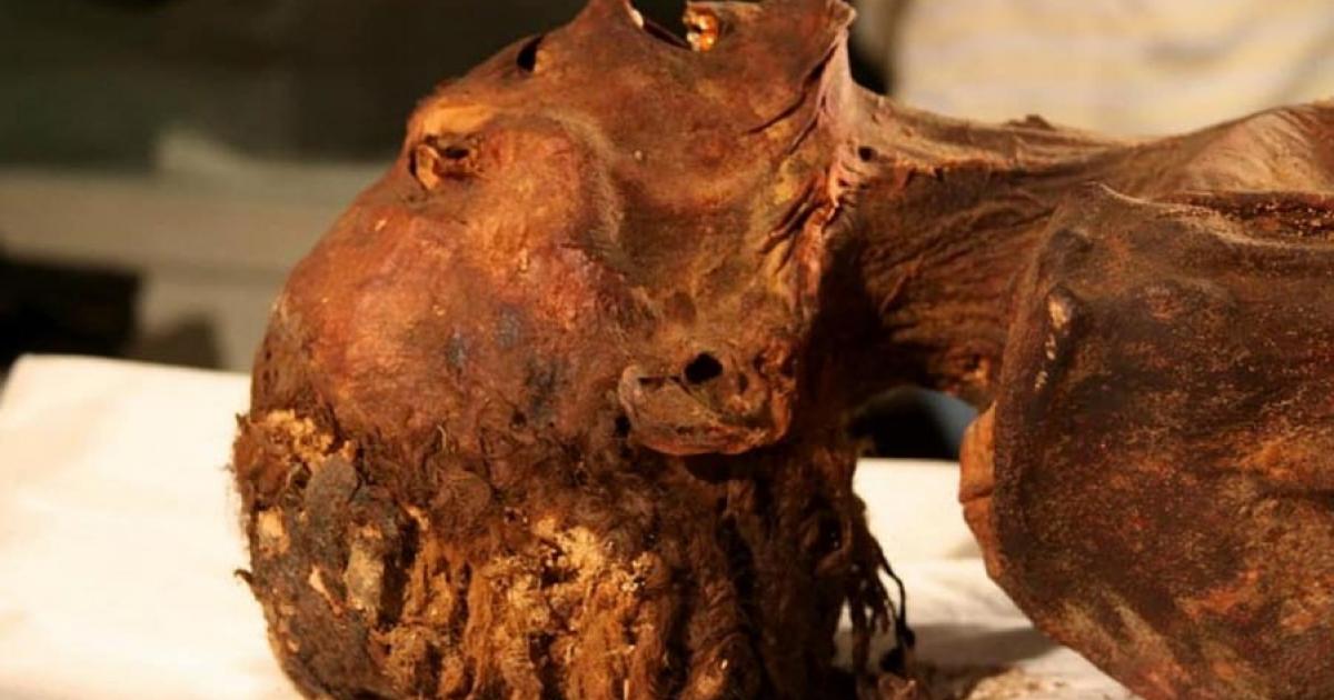 The ‘Screaming Mummy’ of the woman about to be scanned.