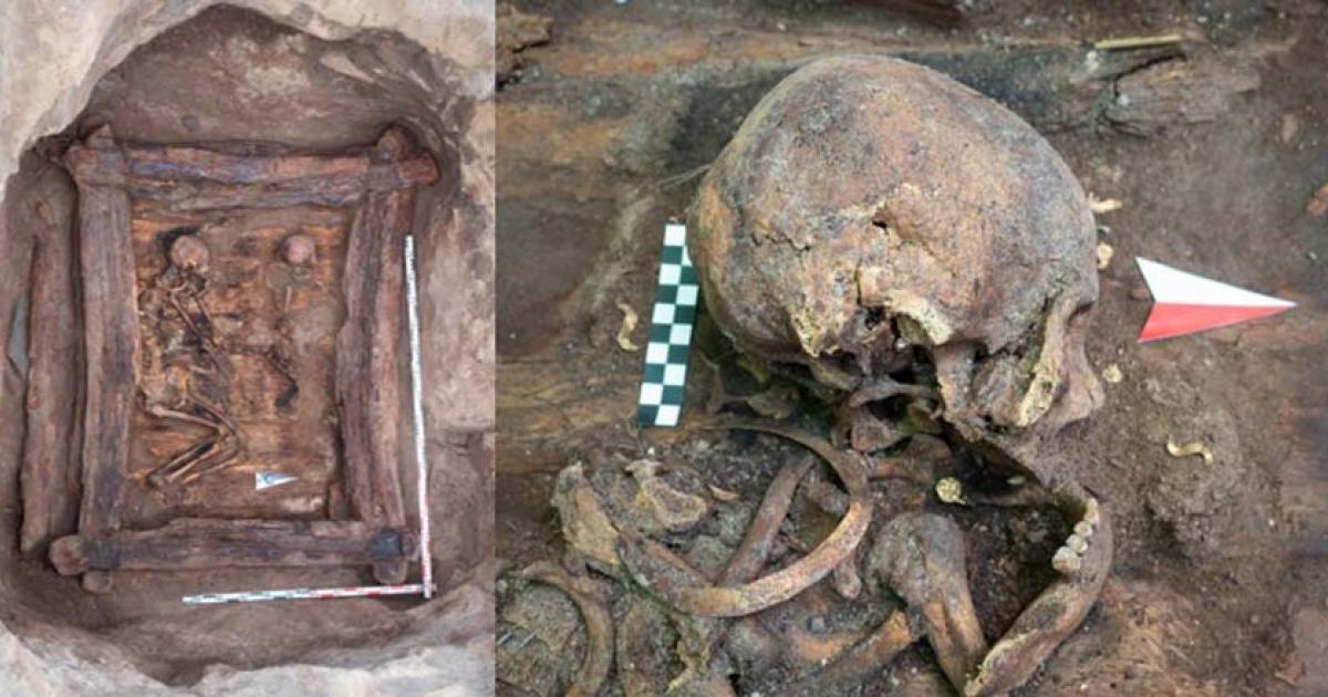 The Scythian woman’s skull found in a new Siberian burrow tomb at the famous “Siberian Valley of the Kings,” and her large crescent shaped gold neck ornament clearly visible along with another gold item just below her upper jaw.		Source: Igor Pieńkos / Science in Poland