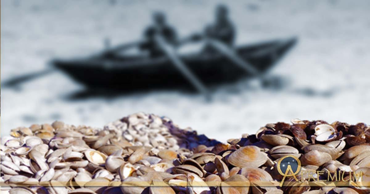 Piles of clamshells (Schvin/CC BY 2.0), background: men in a Curragh, a skin boat (WilliamMurphy/CC BY-SA 2.0);Deriv.