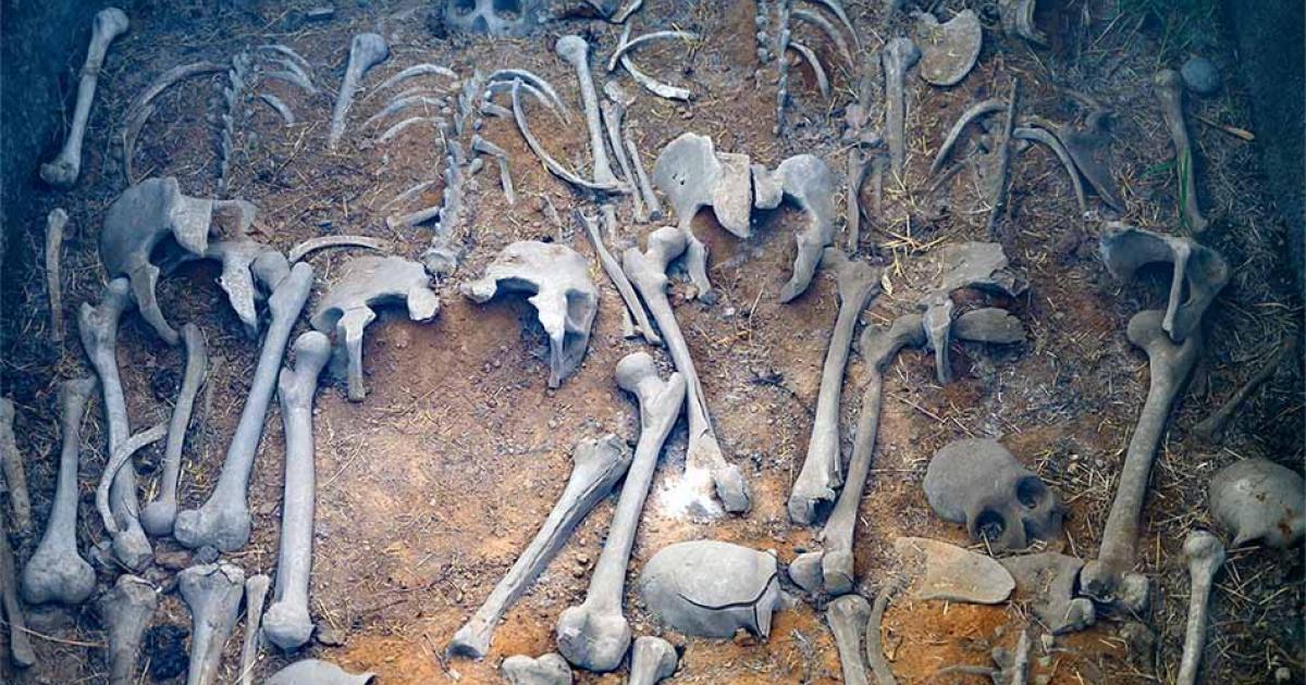 Sinister Secret of the Shang Dynasty: Its Penchant for Human Sacrifice