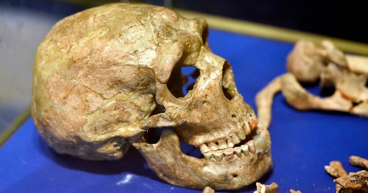 Neanderthal remains, Shanidar Cave (CC by SA 4.0)