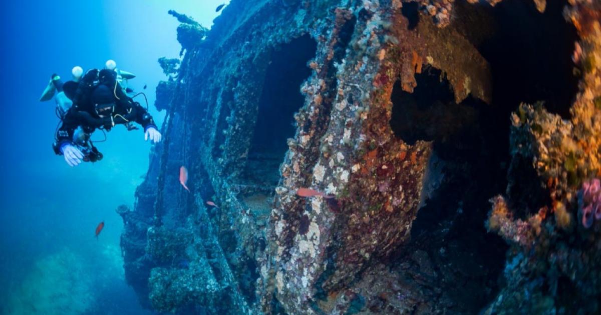 Representation of diver inspecting a shipwreck.         Source: Wojciech / Adobe stock