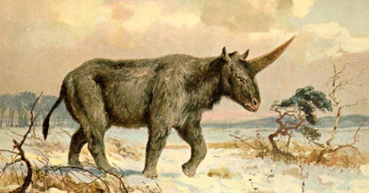Heinrich Harder's painting of the so-called Siberian Unicorn. 