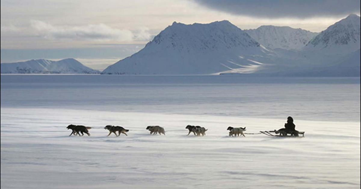 Ancient people used dog sleds to cover these remarkable distances 'at the ends of the earth'. 