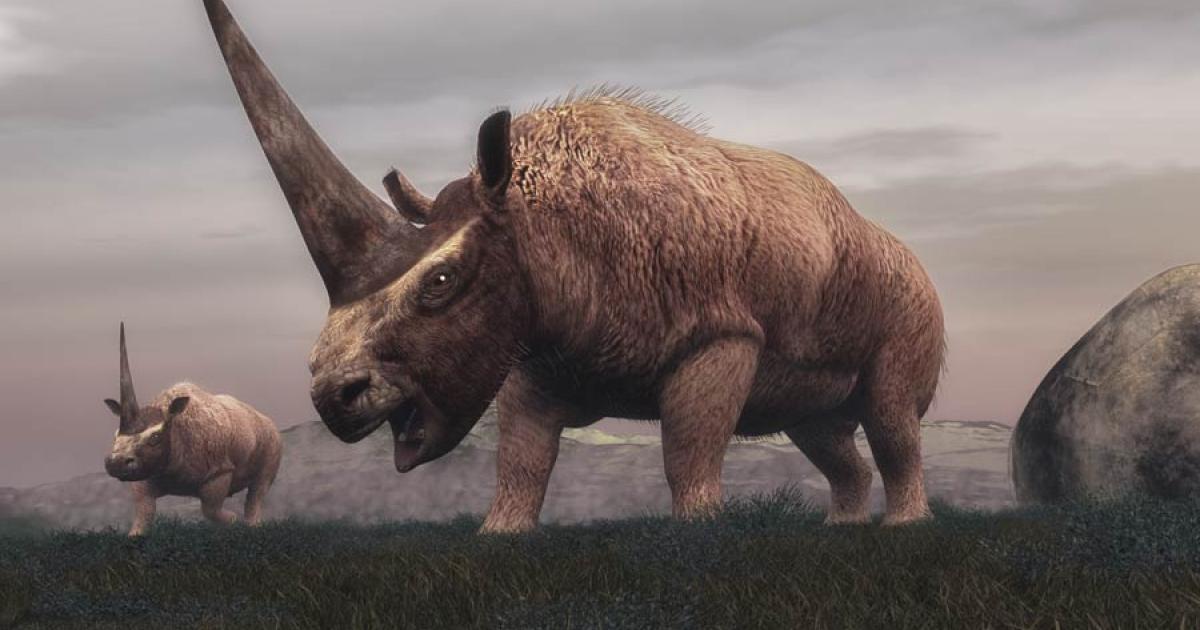 The Last of the Siberian Unicorns: What Happened to the Mammoth-Sized One-Horned Beasts of Legend?