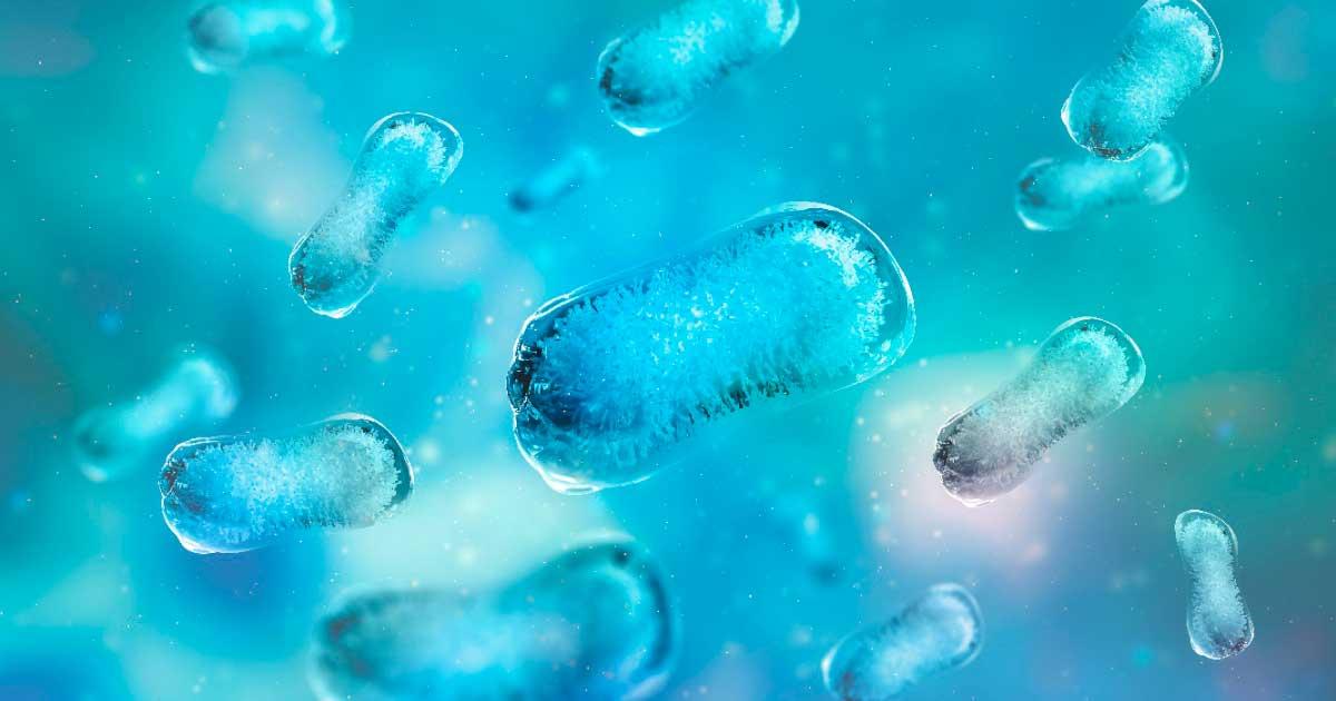 Top image: Colony of microbes, representational image. Source: iarhei / Adobe Stock