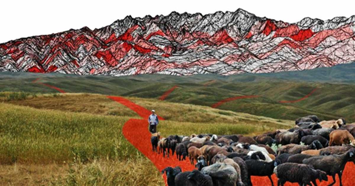 Did Nomads and their Herds Carve Out the Silk Road?