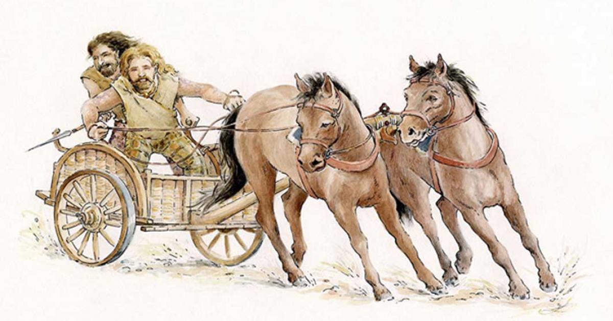 A Silures wagon by Anne Leaver.