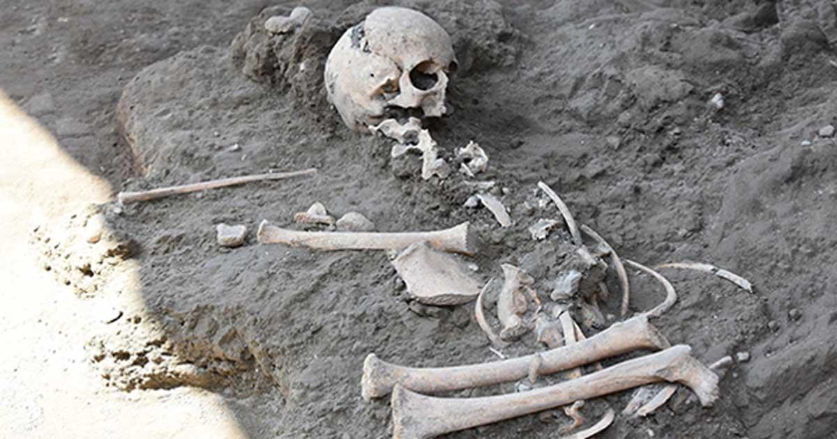 The child skeleton recently discovered at Pompeii. 
