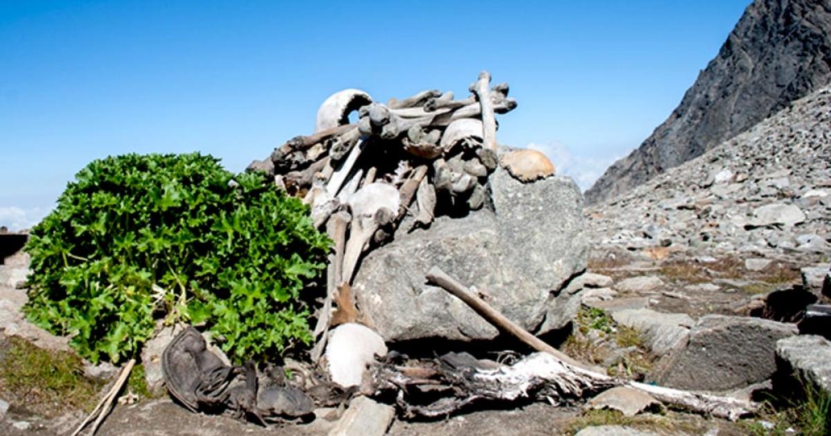 Human Skeletons at Roopkund Lake aka Skeleton Lake