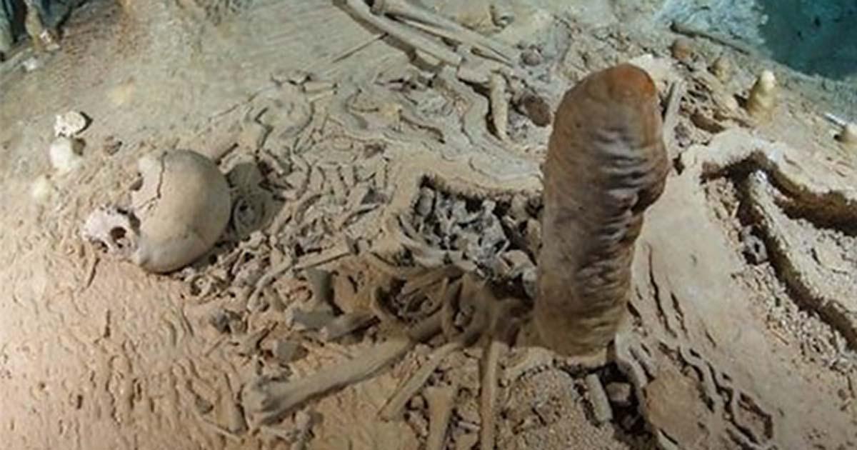 Prehistoric human skeleton in the Chan Hol Cave near Tulúm on the Yucatán peninsula prior to looting by unknown cave divers.