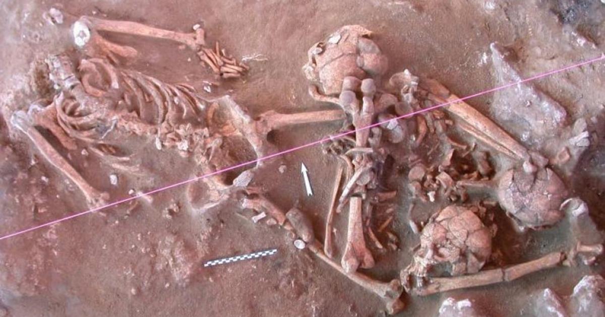 Skeletons unearthed at a 3,000-year-old cemetery in Vanuatu. 