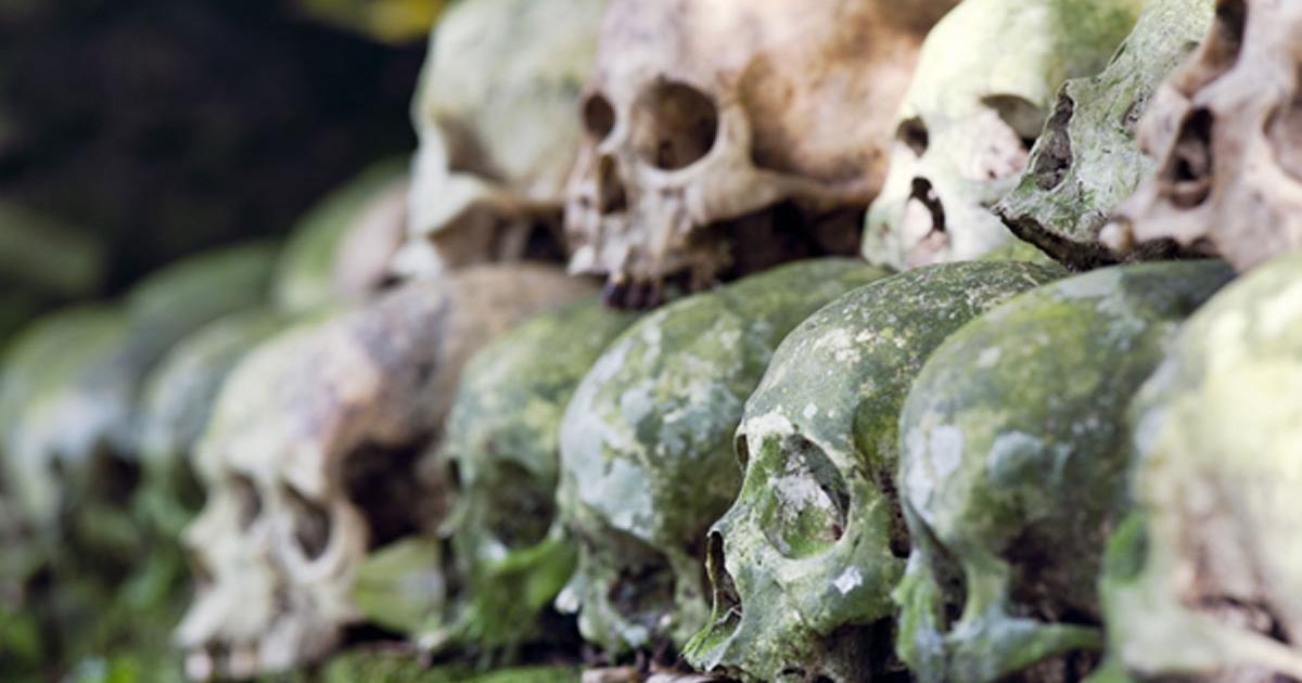 Cleaned skulls stacked under a tree in the cemetery as per tradition on Skull Island, Trunyan, Bali. Source: dani3315 / Adobe Stock.