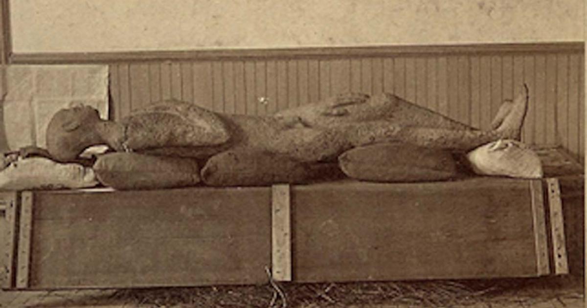 The Solid Muldoon was supposedly a prehistoric ‘petrified human body’ unearthed in 1877.