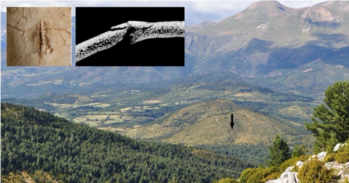 Main: view of the Els Trocs cave entrance in the Spanish Pyrenees located on the southern slope of a karst hill on the high plateau of Selvaplana; seen from the pass of the Puerto de las Aras. Source: H. Arcusa Magallón / Scientific Reports. Inset: Images of part of the skeletons damaged by blunt objects/arrows during the massacre. Source: T. Schuerch / G. Schulz / Scientific Reports