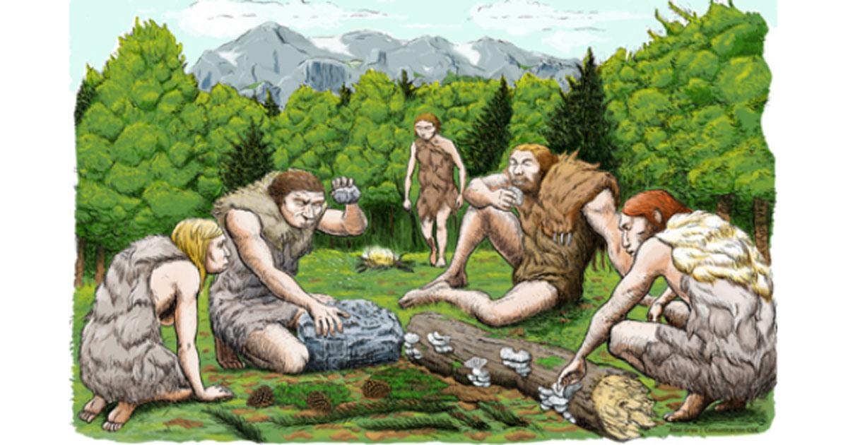 An artist’s impression of the El Sidron Neanderthals who were likely gathering much of their food, rather than hunting large game. Source: CSIC Spain, Author provided 