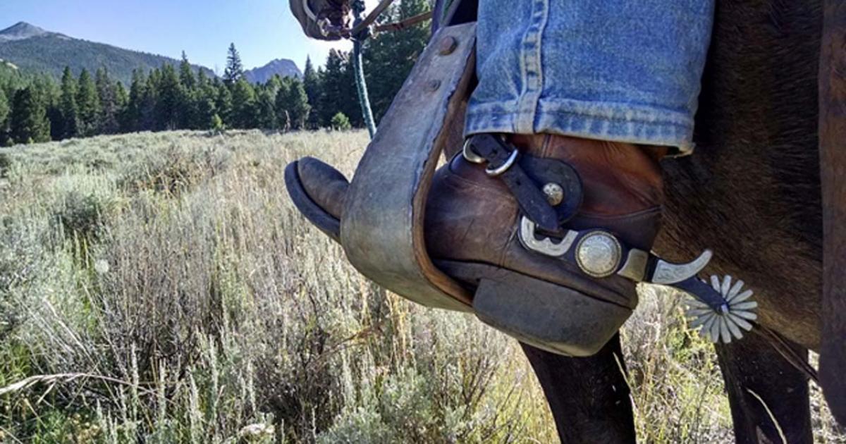 A cowboy boot in a horse’s stirrup. 
