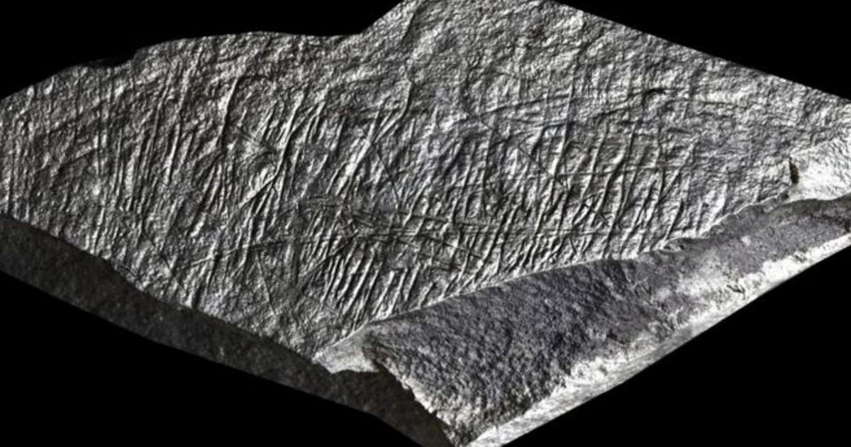 Some of lines are straight and some curved in this, one of three of the earliest known examples of art from the British Isles, unearthed at Jersey Island. 