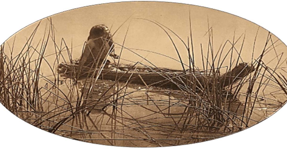 Pomo Tule Canoe (Edward Curtis).