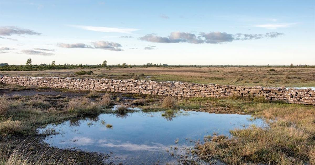 The Historic Limestone Landscape of Stora Alvaret