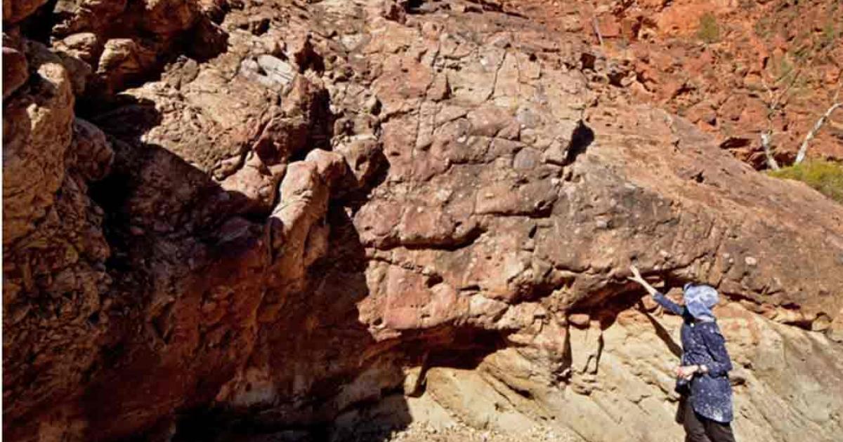 Deposits from the Sturtian Glaciation 717¬–664 million years ago in the northern Flinders Ranges, Australia. Research lead author Dr Adriana Dutkiewicz pointing to a thick bed of glacial deposits.  Source:  Professor Dietmar Müller/University of Sydney