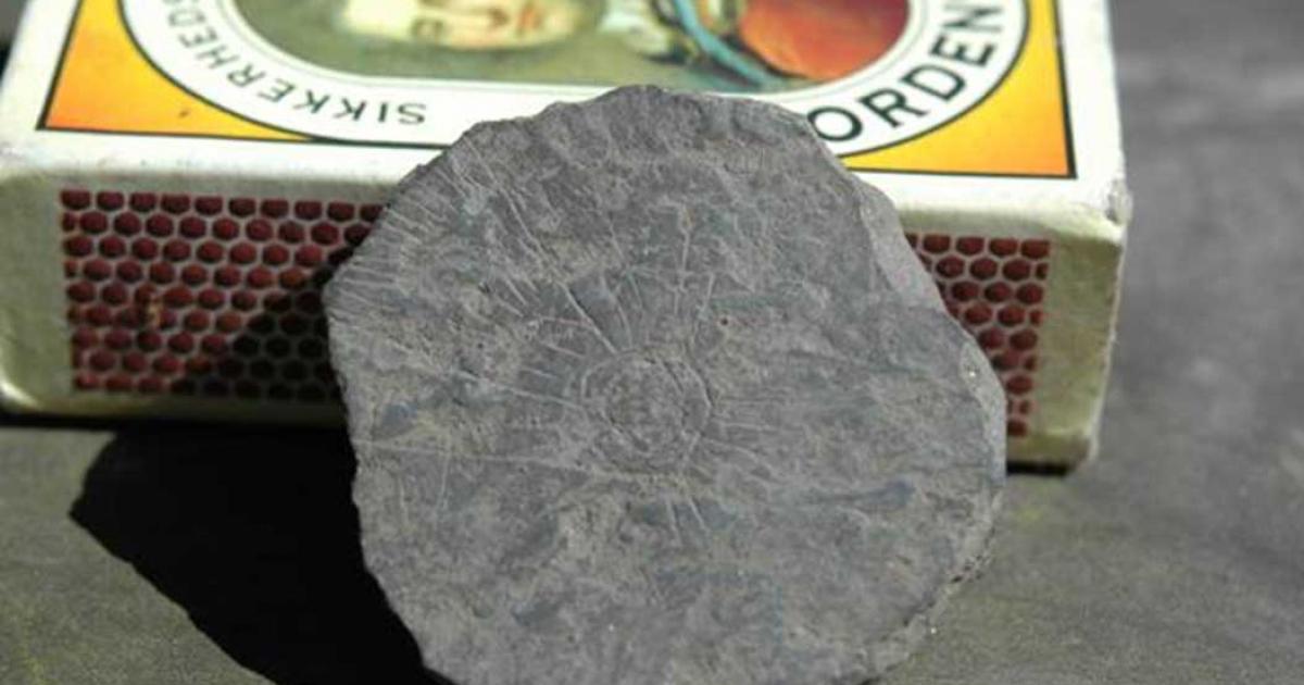 The stones can fit in the palm of a hand or pocket. Pictured isone from a 2014 excavation