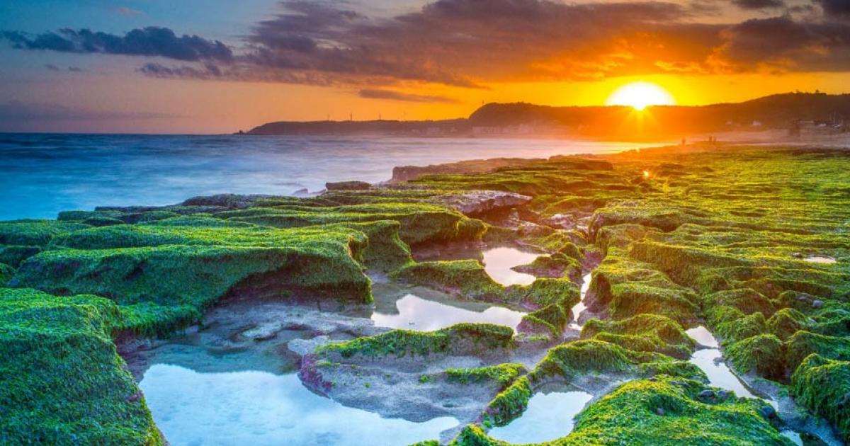 Sunrise at Laomei Green Reef on the coast north of Taipei, Taiwan, where researchers found scant evidence of early human impact on animal extinction. 
