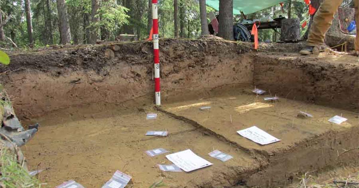 Swan Point Alaska’s Unique Stone Tools Are Proof of Beringia Theory