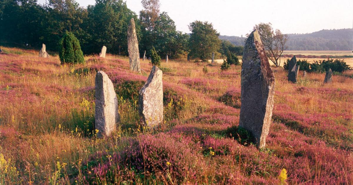 Li’s gravestones at Fjärås Bräcka  