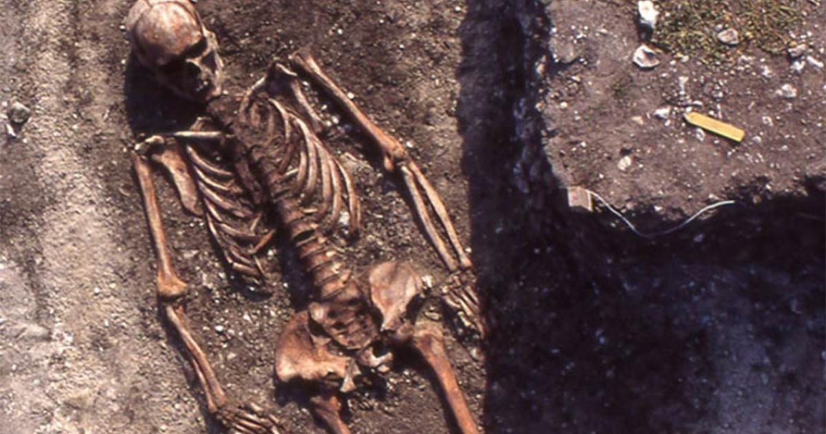 A man of the Pitted Ware Culture in the tomb field of Ajvide in Gotland represents a typical burial. Source: Åsa Malmberg, (Uppsala University)