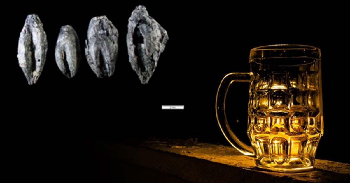 Beer. (CC0) Insert: Carbonized germinated grains found at Uppåkra, Sweden.
