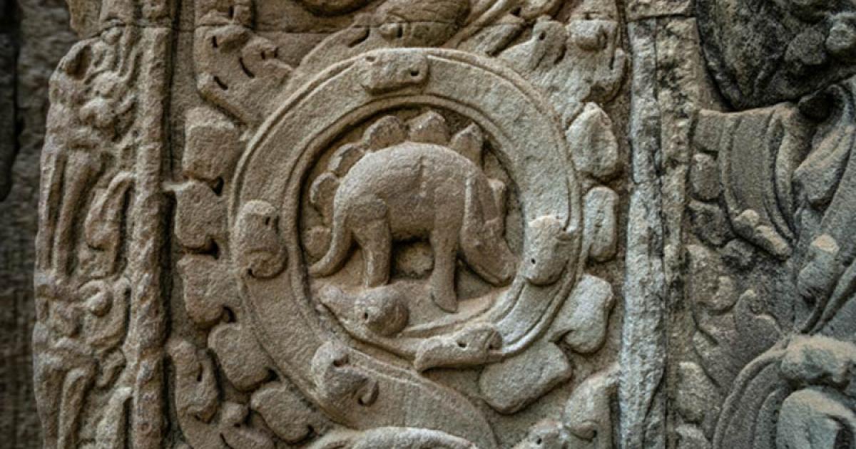 The so-called dinosaur carving at Ta Prohm temple in Cambodia.