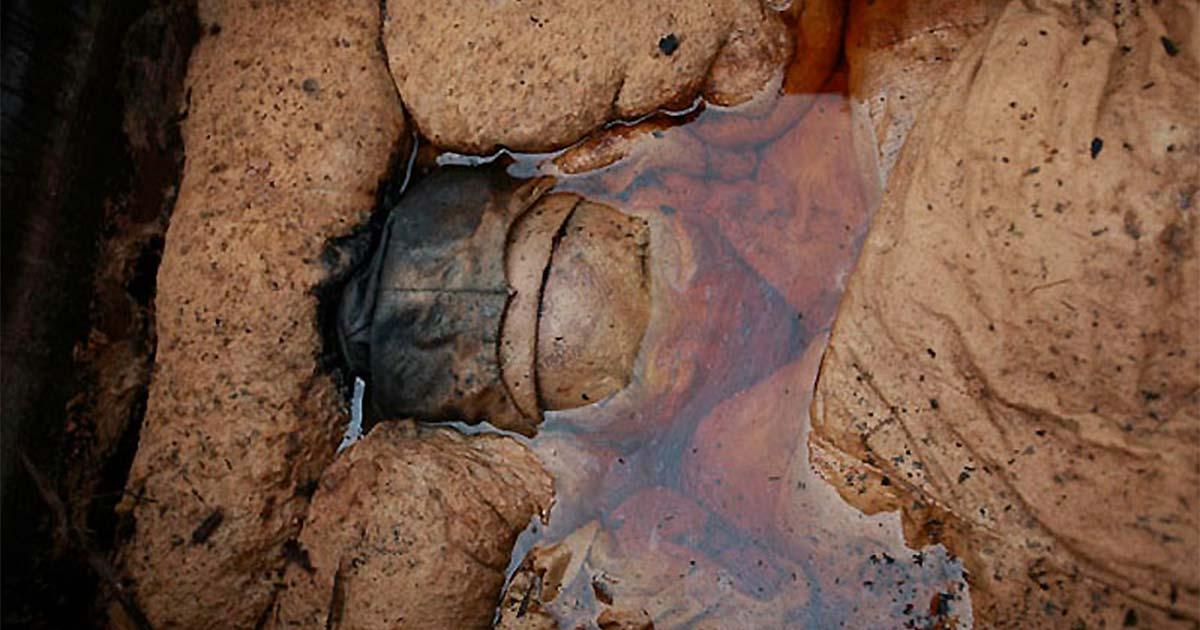The Taizhou mummy was discovered accidentally by road workers and was found immersed in a mysterious brown liquid. Source:  GU XIANGZHONG, XINHUA