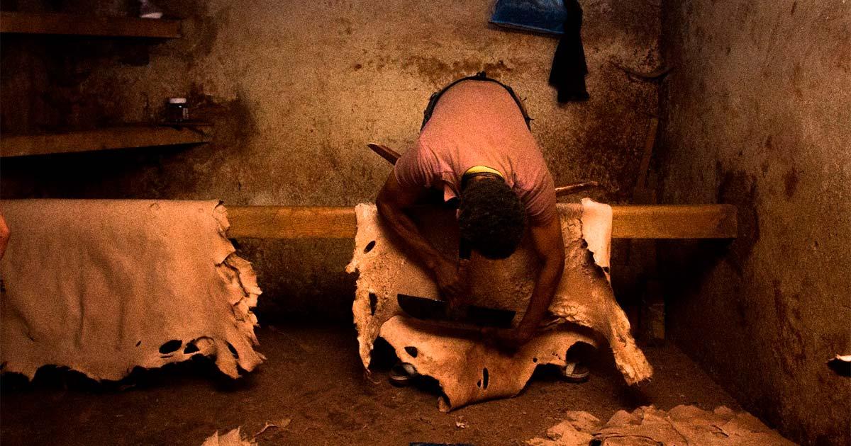 Hide tanning in Morocco. Source: Jorge / Adobe Stock.