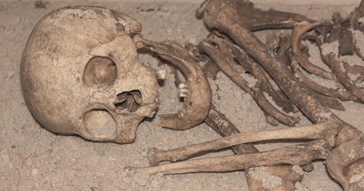 Ancient human skeleton missing teeth