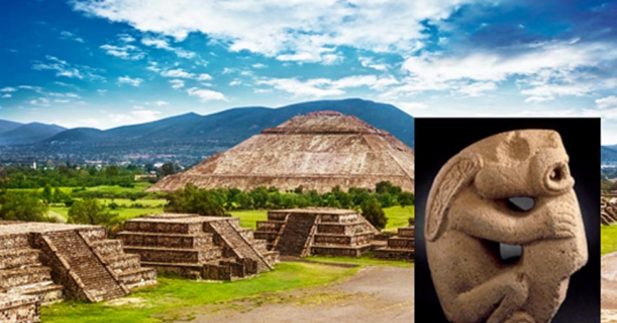 Ancient Inhabitants of the Great City of Teotihuacan in Mexico Farmed Rabbits