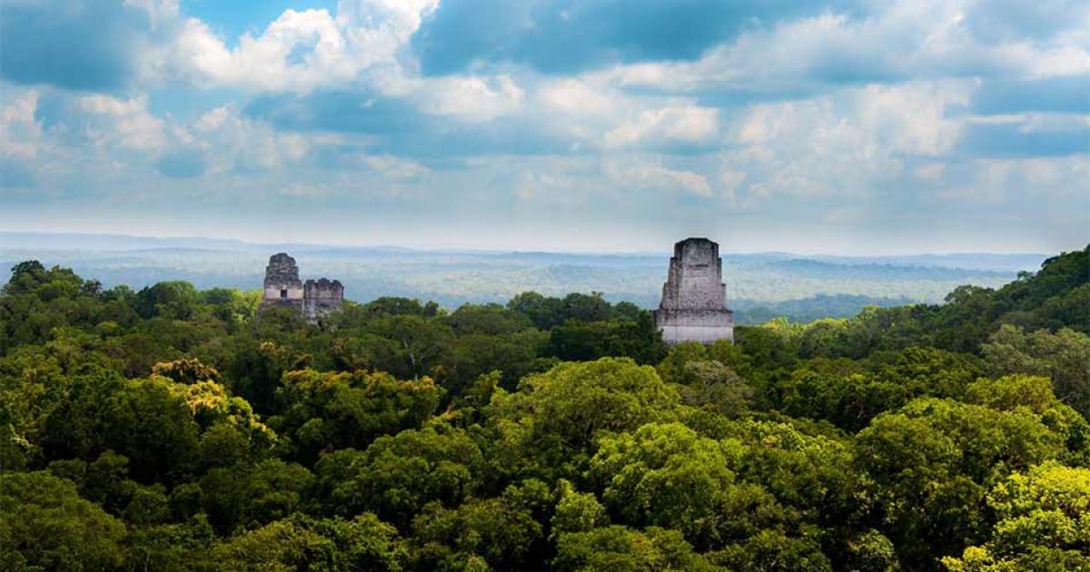 A view of the Tikal jungle landscape from Temple IV. It was in this dense forested area that LIDAR amazing found the Teotihuacan replicas hidden from archaeologists working at the famous site for more than 60 years.  Source: JuanLuis / Adobe Stock