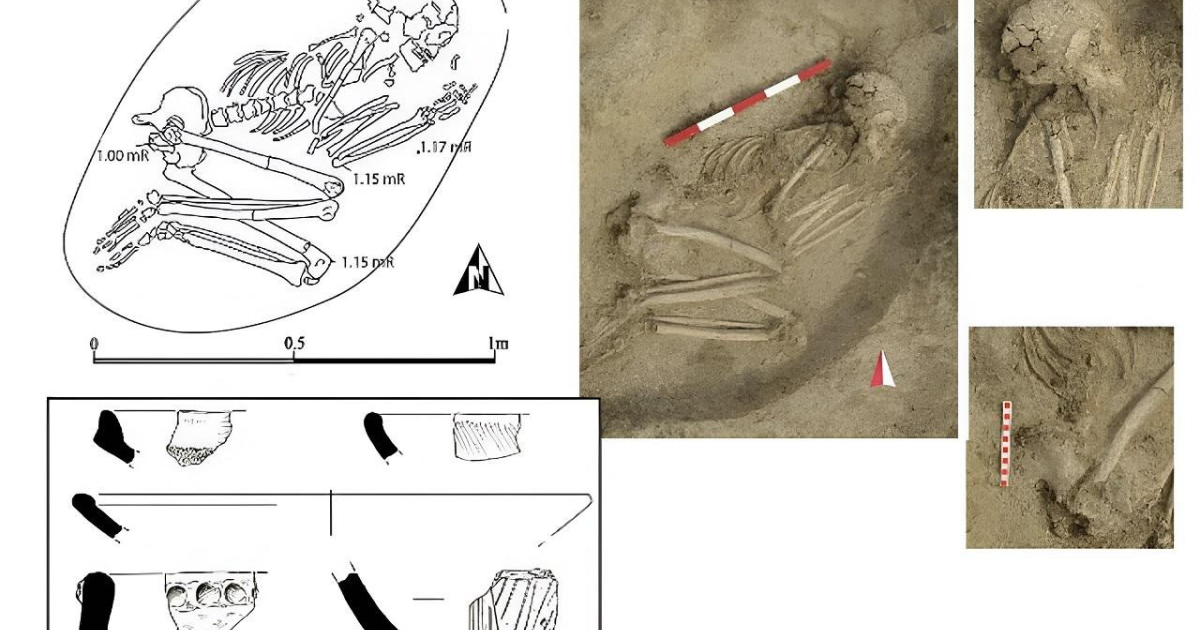 The discovery in the Kozareva Mogila necropolis