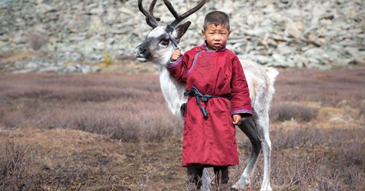 Many Darkhads rely on herding for a living. 