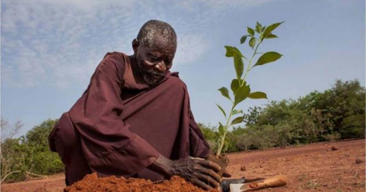Yacouba Sawadogo planting. 