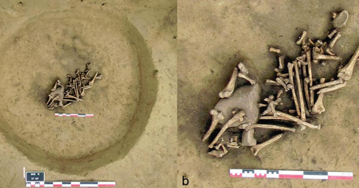 The pit of arm bones (Antiquity photo)