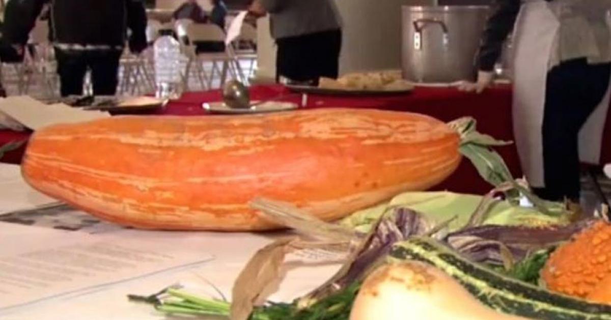 The squash in this photo had not been grown for hundreds of years. Native Americans revived it after finding seeds in a pot 800 years old.