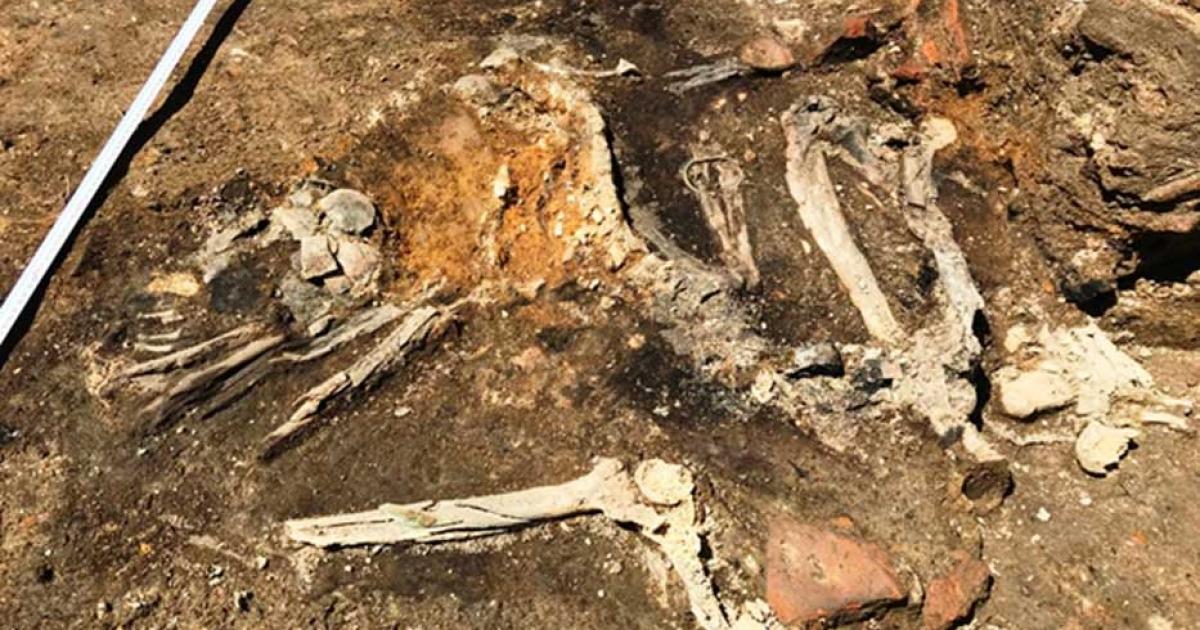 Burnt skeletons found at excavations in Plovdiv, Bulgaria