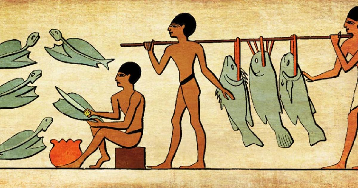 Tilapia Stew: Egyptian Recipe Found in 6000-year-old Stomach