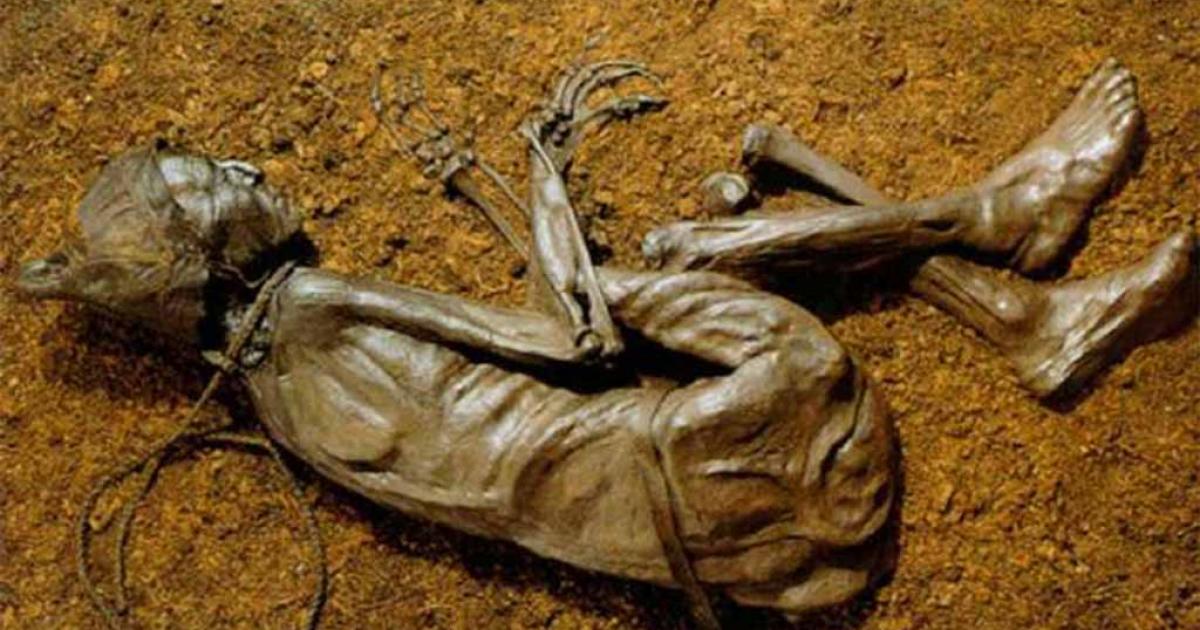 Discovered in 1950, the Tollund Man is on display at the Silkeborg Museum in Denmark. 		Source: Chocho8 / CC BY-SA 4.0