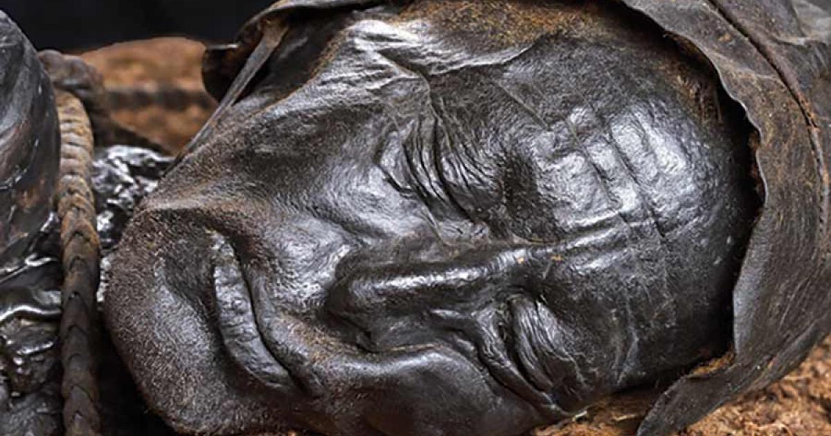 The well-preserved head of the Tollund Man. Source: A. Mikkelsen / Antiquity Publications Ltd